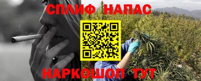 трава Бузулук